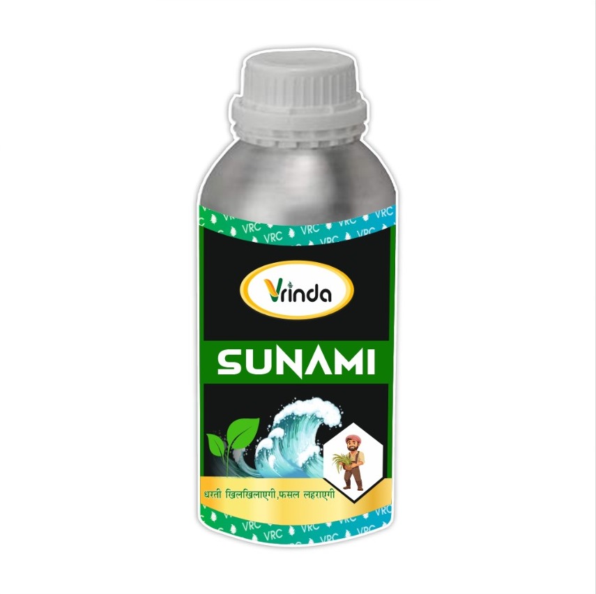 सुनामी